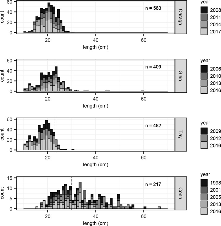Cohort, age, age group, and year class